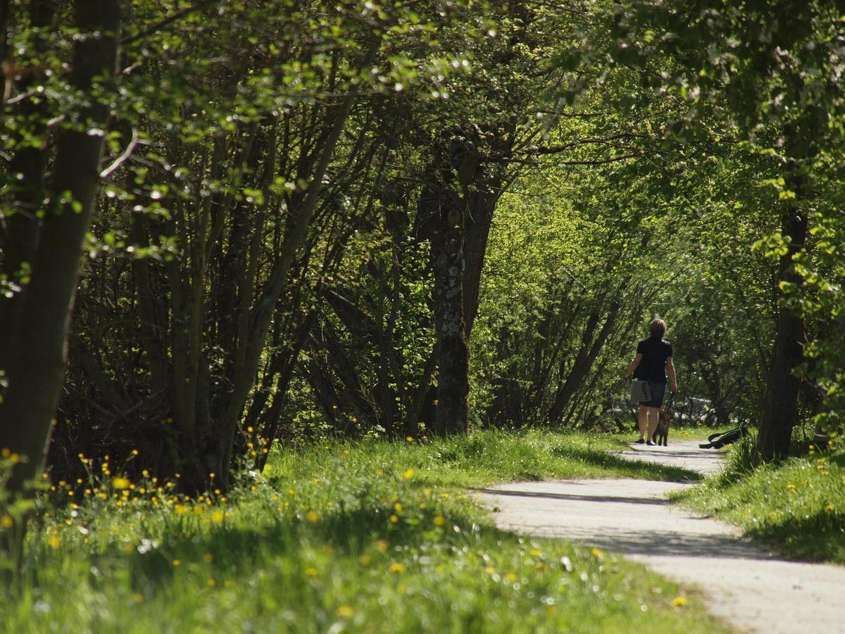 Sonne29 Ebermannstadt
